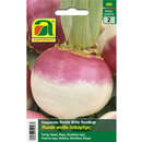 Stoppelrübe "Ronde Witte Roodkop" - Stoppelrübe "Ronde Witte Roodkop"