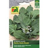 Rucola, Rauke "Wasabi" - Rucola, Rauke "Wasabi"