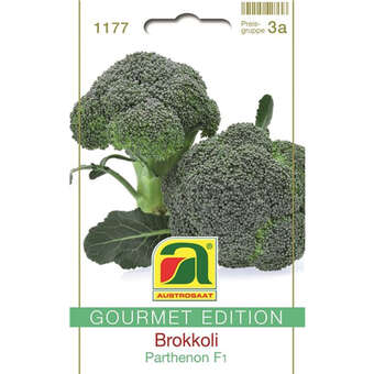 Balkon-Karotte "Caracas"