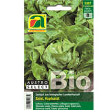 Kopfsalat BIO "Kagraner Sommer 2" - Kopfsalat BIO "Kagraner Sommer 2"
