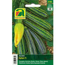 Zucchini "Safari F1" - Zucchini "Safari F1"