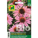 Echinacea BIO "Roter Sonnenhut" - Echinacea BIO "Roter Sonnenhut"