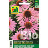 Echinacea BIO "Roter Sonnenhut" - Echinacea BIO "Roter Sonnenhut"