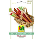 Rhabarber "Victoria" - Rhabarber "Victoria"
