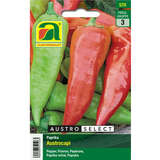 Paprika "Austrocapi" - Paprika "Austrocapi"