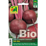 Rote Rüben BIO "Detroit 2" - Rote Rüben BIO "Detroit 2"