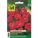 Kapuzinerkresse "Cherry Rose" - Kapuzinerkresse "Cherry Rose"