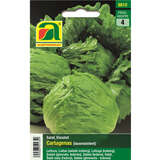 Eissalat "Cartagenas" - Eissalat "Cartagenas"