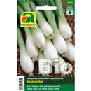 Zwiebel BIO "Witte van Lissabon" - Zwiebel BIO "Witte van Lissabon"