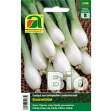 Zwiebel BIO "Witte van Lissabon" - Zwiebel BIO "Witte van Lissabon"