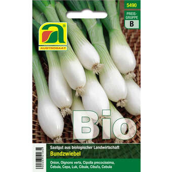 Zwiebel BIO "Witte van Lissabon"