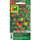 Kapuzinerkresse "Zwerg Mischung" - Kapuzinerkresse "Zwerg Mischung"