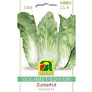 Zuckerhut "Uranus F1" - Zuckerhut "Uranus F1"