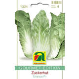 Zuckerhut "Uranus F1" - Zuckerhut "Uranus F1"