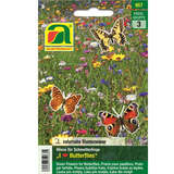 Blumenwiese "I love butterflies" (Wiese f. Schmetterlinge) - Blumenwiese "I love butterflies" (Wiese f. Schmetterlinge)