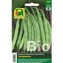 Bohnen BIO "Neckarkönigin" - Bohnen BIO "Neckarkönigin"