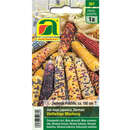 Ziermais "Vielfarbige Mischung" - Ziermais "Vielfarbige Mischung"