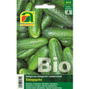 Einlegegurke BIO "Vert petit de Paris" - Einlegegurke BIO "Vert petit de Paris"