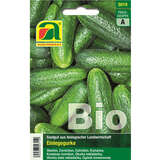 Einlegegurke BIO "Vert petit de Paris" - Einlegegurke BIO "Vert petit de Paris"