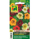 Kapuzinerkresse "Rankende Mischung" - Kapuzinerkresse "Rankende Mischung"