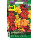 Kapuzinerkresse "Niedrige Mischung" - Kapuzinerkresse "Niedrige Mischung"