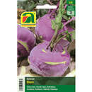 Kohlrabi "Blaro" - Kohlrabi "Blaro"