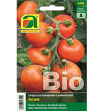 Tomate BIO "Matina" - Tomate BIO "Matina"