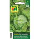 Kopfsalat "Attraktion" - Kopfsalat "Attraktion"