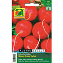 Radieschen "Wiener Rotes Treib®" - Radieschen "Wiener Rotes Treib®"