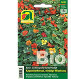 Kapuzinerkresse BIO "Niedrige Mischung" - Kapuzinerkresse BIO "Niedrige Mischung"
