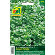 Portulak "Sommer-Portulak": Bild 1/2