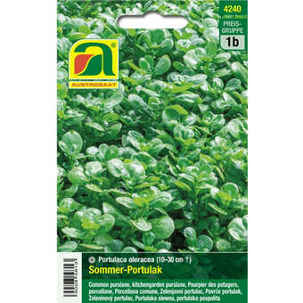 Portulak "Sommer-Portulak"
