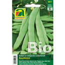 Buschbohnen breit BIO - Buschbohnen breit BIO