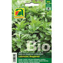 Liebstöckl, Maggikraut BIO - Liebstöckl, Maggikraut BIO