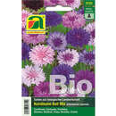Kornblumen BIO "Ball Mix" - Kornblumen BIO "Ball Mix"