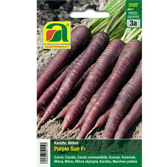 Karotten, Möhren "Purple Haze F1"
