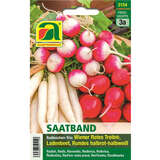 Radieschen "Radieschen Trio: Wiener Rotes Treib®, Ladenbeet, Rundes halbrot - halbweiß" - Saatband - Radieschen "Radieschen Trio: Wiener Rotes Treib®, Ladenbeet, Rundes halbrot - halbweiß" - Saatband