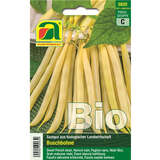 Bohnen BIO "Dior" - Bohnen BIO "Dior"