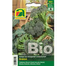 Brokkoli BIO "Calabrese Natalino" - Brokkoli BIO "Calabrese Natalino"