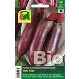 Rote Rüben BIO "Cylindra" - Rote Rüben BIO "Cylindra"