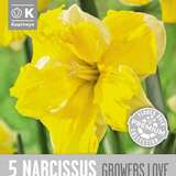 Narcissus Growers Love - Narzisse