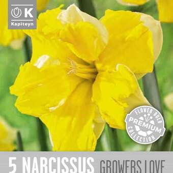 Narcissus Growers Love
