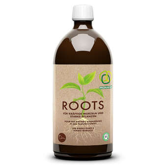 Roods