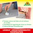 Ameisen Buffet: Bild 4/4