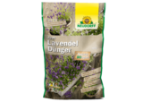 Azet Lavendel Dünger - Azet Lavendel Dünger