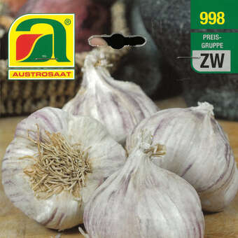 Allium sativum Germidour