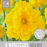 Narcissus Gold Disc - Narzisse