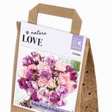 Bouquet Collection Purple&Pink - Tulpen-Mischung
