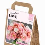 Bouquet Collection Double Pastel - Tulpen-Mischung