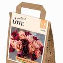 Bouquet Collection Copper&Black - Tulpen-Mischung